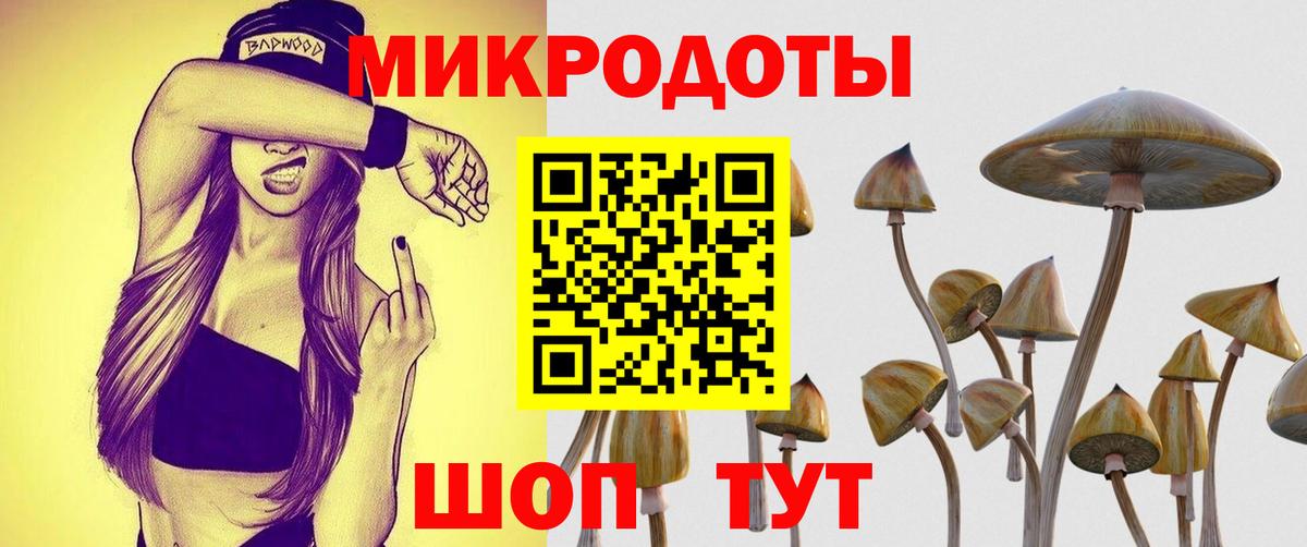 Псилоцибиновые грибы Magic Shrooms Новоалтайск